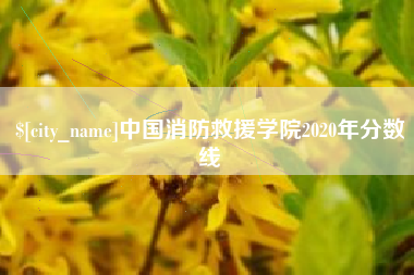 黔南中国消防救援学院2020年分数线