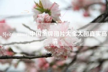 黔南中国金牌图片大全大图真实高清