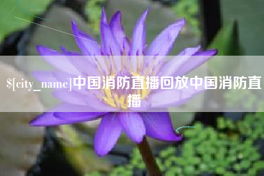 黔南中国消防直播回放中国消防直播