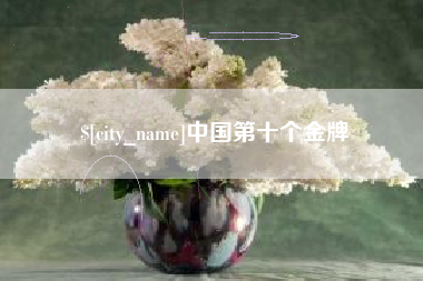 黔南中国第十个金牌