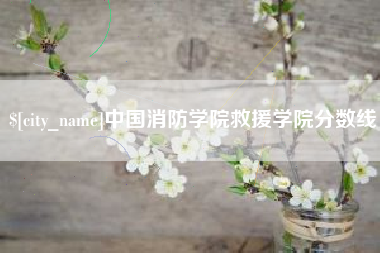 黔南中国消防学院救援学院分数线