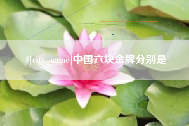 黔南中国六块金牌分别是
