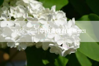 黔南中国金牌有哪些2021