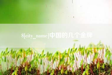 黔南中国的几个金牌