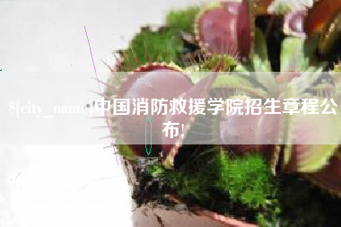 黔南中国消防救援学院招生章程公布!