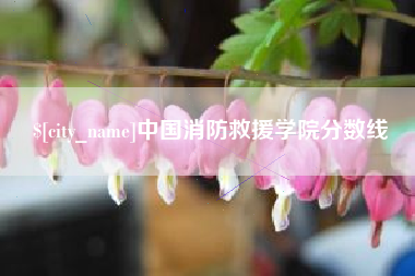 黔南中国消防救援学院分数线