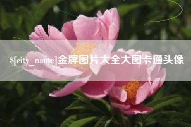 黔南金牌图片大全大图卡通头像