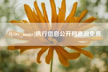 黔南执行信息公开网查询免费