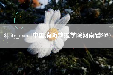 黔南中国消防救援学院河南省2020